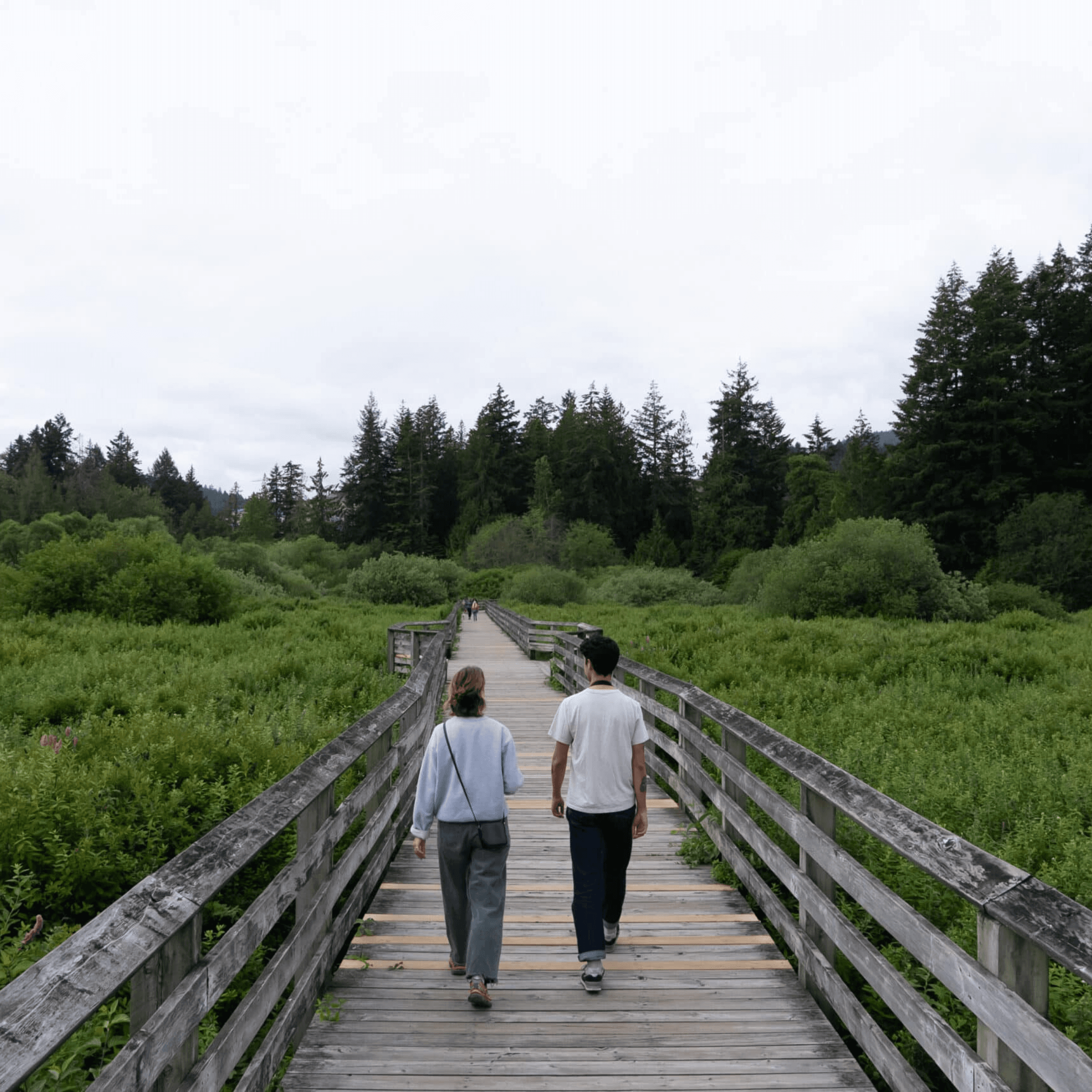 Two people walking along a wooden boardwalk through a green marsh toward the forest