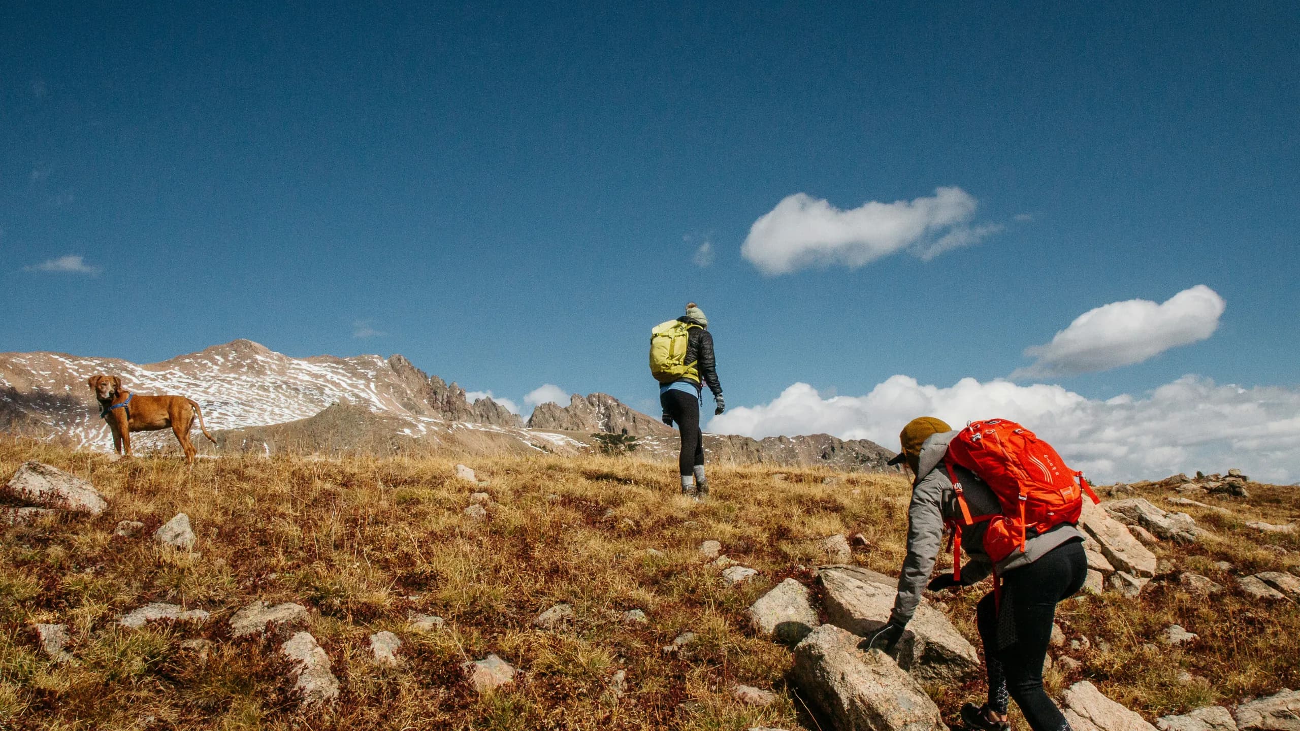 Two hikers and a dog climbing a grassy alpine slope toward snow-dusted peaks under a blue sky